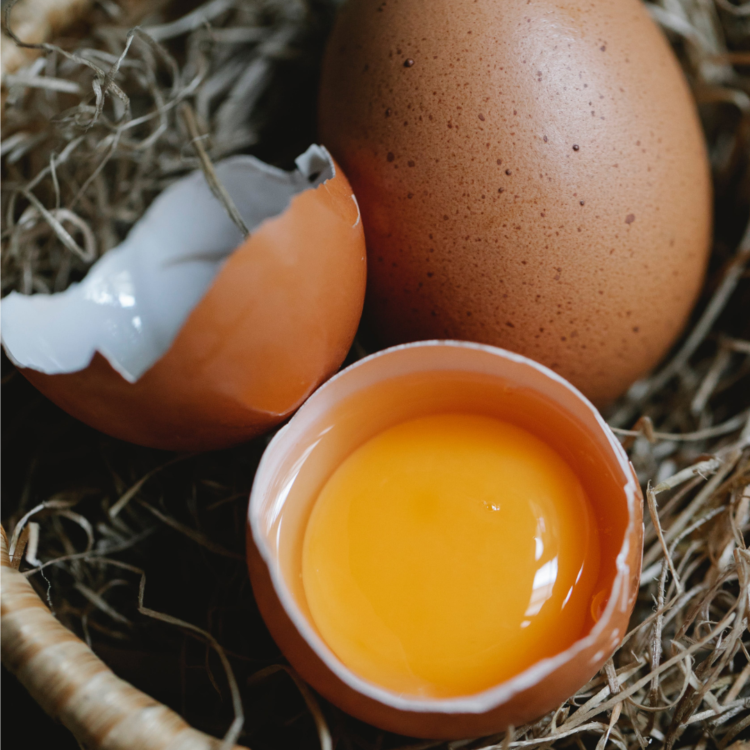 Les cuissons des oeufs