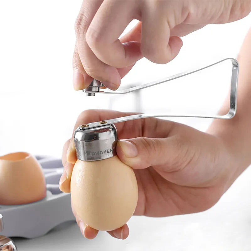 Coupe coquille d'oeuf.