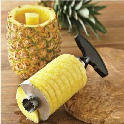 Eplucheur ananas en inox.